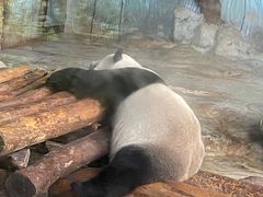 -海南热带野生动植物园
