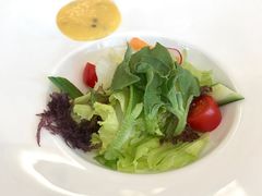 鲜蔬沙拉-好悦情铁板烧