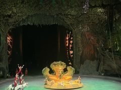 -广州长隆国际大马戏