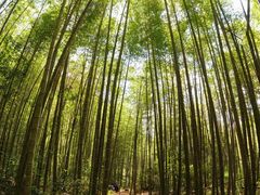 -鸡枕山