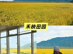 -芭厘·农庄老字号.电饭煲五指毛桃焗鸡