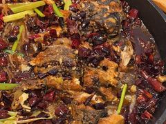 -老板恋上鱼(印象城店)