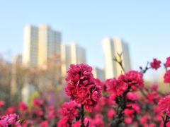 -白塘生态植物园