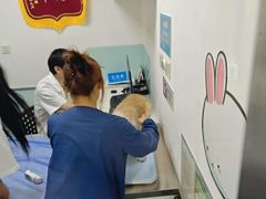-特一安24小时宠物医院·骨科·中兽医