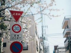 -东京国立博物馆