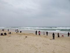 -海南铜鼓岭景区