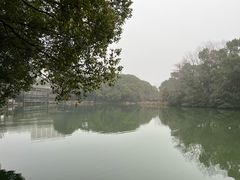 -张鸟园农家乐(张鸟园店)