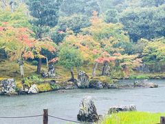 -天龙寺