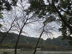 -顺峰山公园