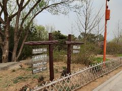 -北京西山国家森林公园