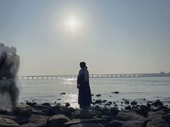 -宝安西湾红树林湿地公园