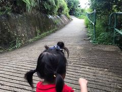 -南丫岛