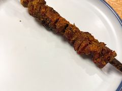 红柳枝羊肉串-楼兰印象(朝外店)