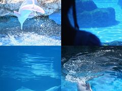 -珠海长隆海洋王国