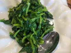 清炒豌豆尖-素心小筑(后沙裕镇店)