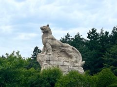 -帽儿山国家森林公园