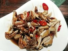 -前海沿·青岛菜(大拇指广场石老人店)