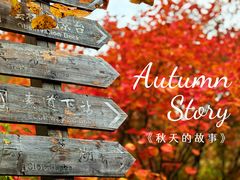 -周口店坡峰岭风景区