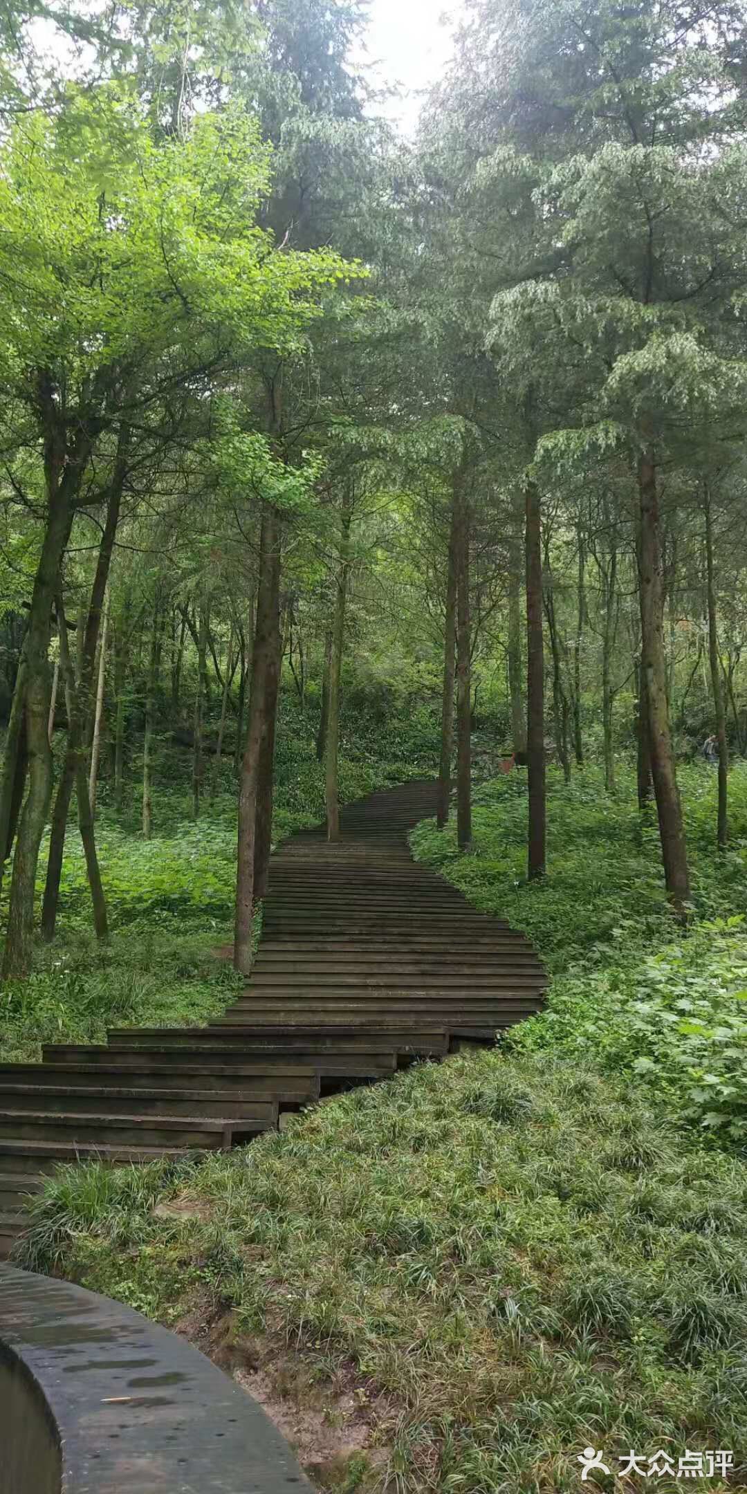 成都旅游不看后悔的地方～青城山打卡攻略