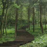 成都旅游不看后悔的地方～青城山打卡攻略