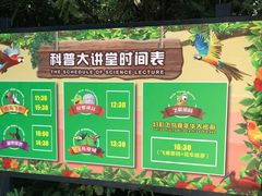 -广州长隆飞鸟乐园