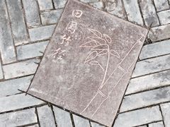 -田园东方蜜桃村的田野营地