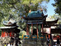 -晋祠公园