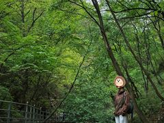 -九龙潭景区