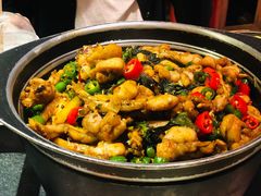 -蛙小侠(珠海华发商都店)