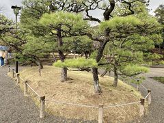 -水前寺成趣园
