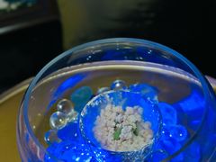 -地球美食剧场