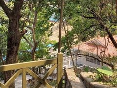 -广州市流溪河国家森林公园