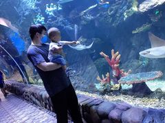 -华夏文旅海洋公园