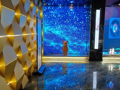 -臻享足道·HIFI影院足疗·泡浴SPA(成华店)