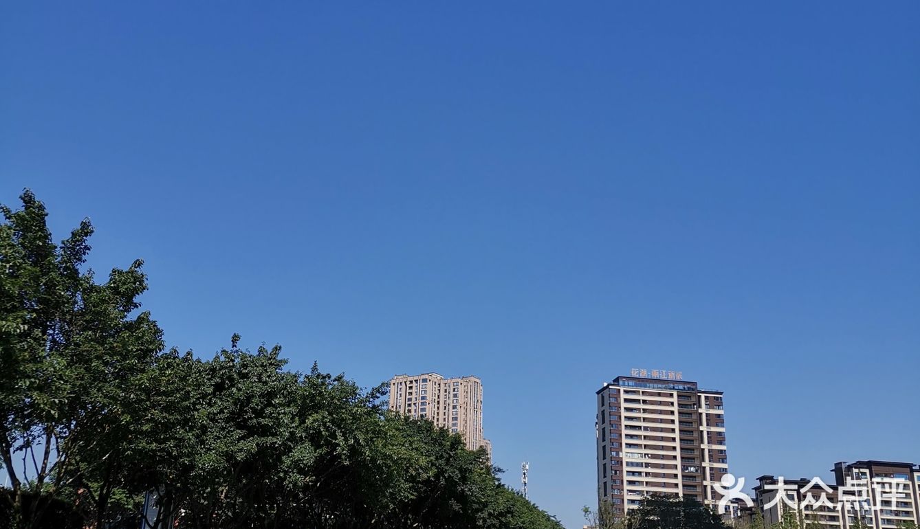 礼嘉龙湖两江新宸•云岭旁边公园陡坡上的美丽小花海！