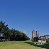礼嘉龙湖两江新宸•云岭旁边公园陡坡上的美丽小花海！