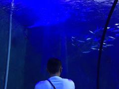 -辛玛王国游乐园