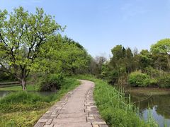 -西溪国家湿地公园