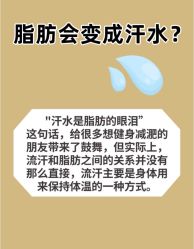 -Fundi张玉珊修身堂·indiba·BTL科技瘦身