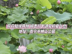 -南宁南湖公园