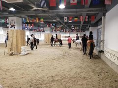 -李振强马术运动推广中心(南城店)