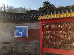 -阳台山自然风景区