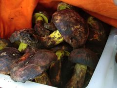 -菌之家·专业纯野生菌火锅·特色炒菌