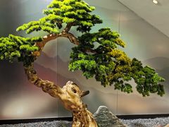 -潮发潮汕牛肉店(永庆坊店)