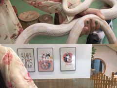 -藦茜花园宠物主题亲子互动体验馆(国顺东路店)