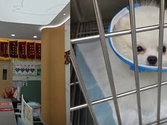 -爱佳宠物中心医院24H·CT·骨外科·猫专科(瑶海万达店)