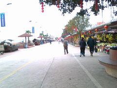 -大湾区中央湿地公园-十九涌