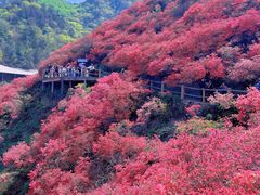 -木兰云雾山