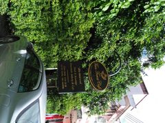 -Fern Forest Cafe