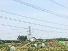 -紫颐香薰山谷景区